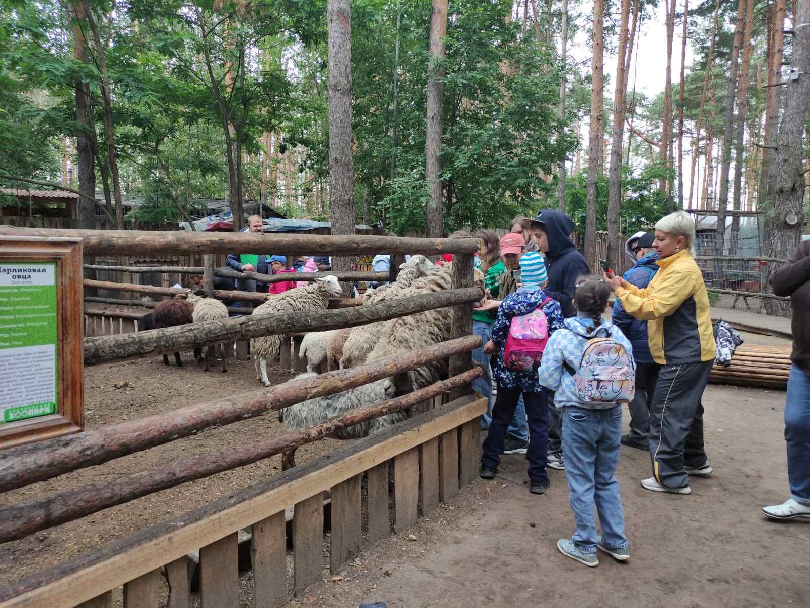 Дети из пришкольного лагеря посетили зону отдыха - Ульяновский зоопарк,.